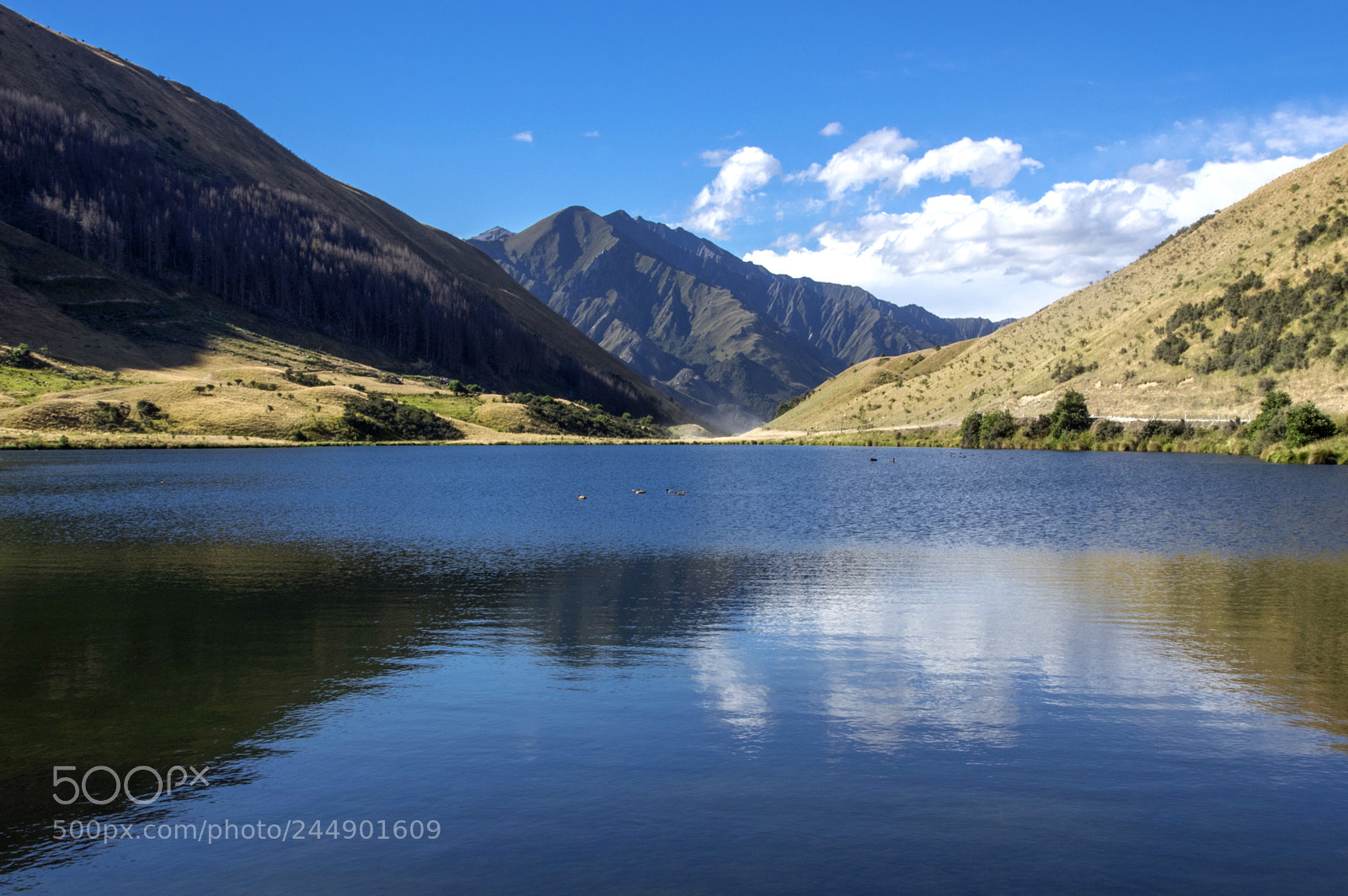 Pentax K-3 II sample photo. Lake dispute photography