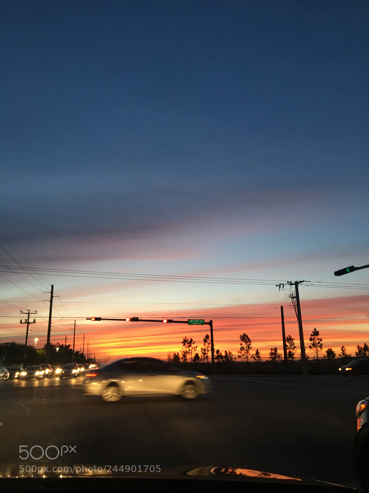 Apple iPhone 6s sample photo. Untitled photography