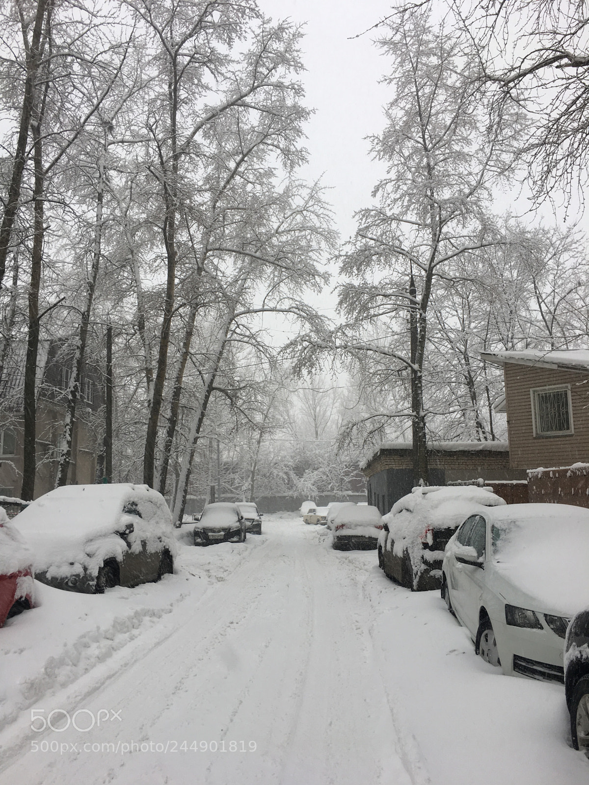 Apple iPhone 6s sample photo. Winter noon photography