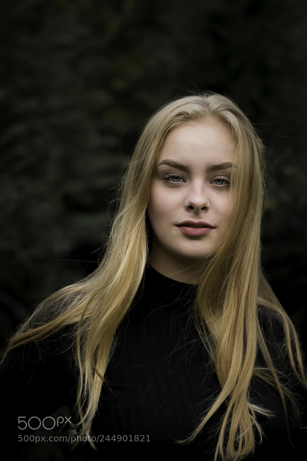 Nikon D800 sample photo. Vera photography