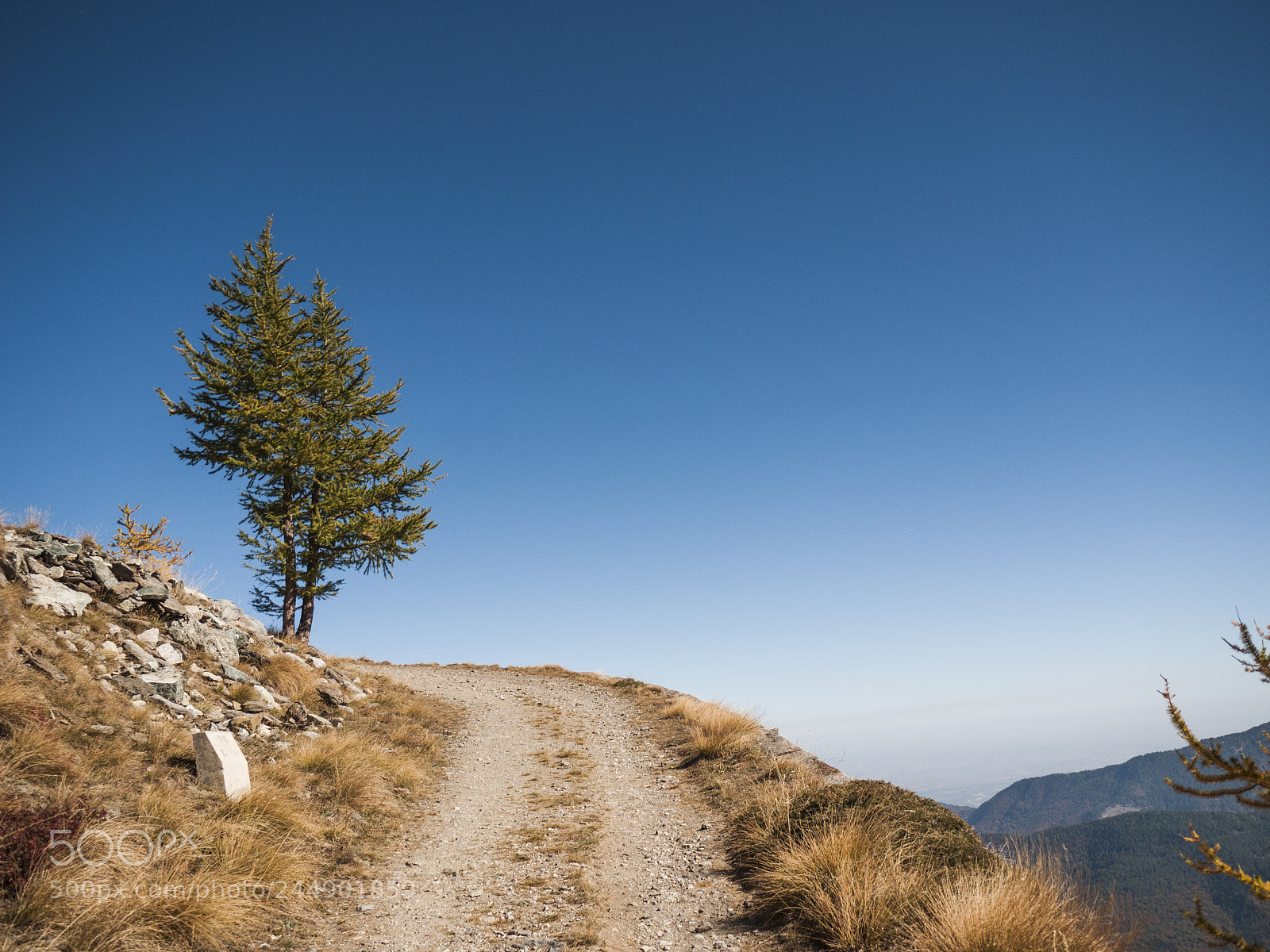 Panasonic Lumix DMC-G1 sample photo. Road to the refuge photography
