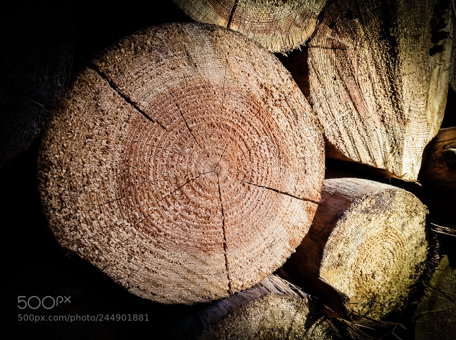 HUAWEI nova sample photo. Wood photography