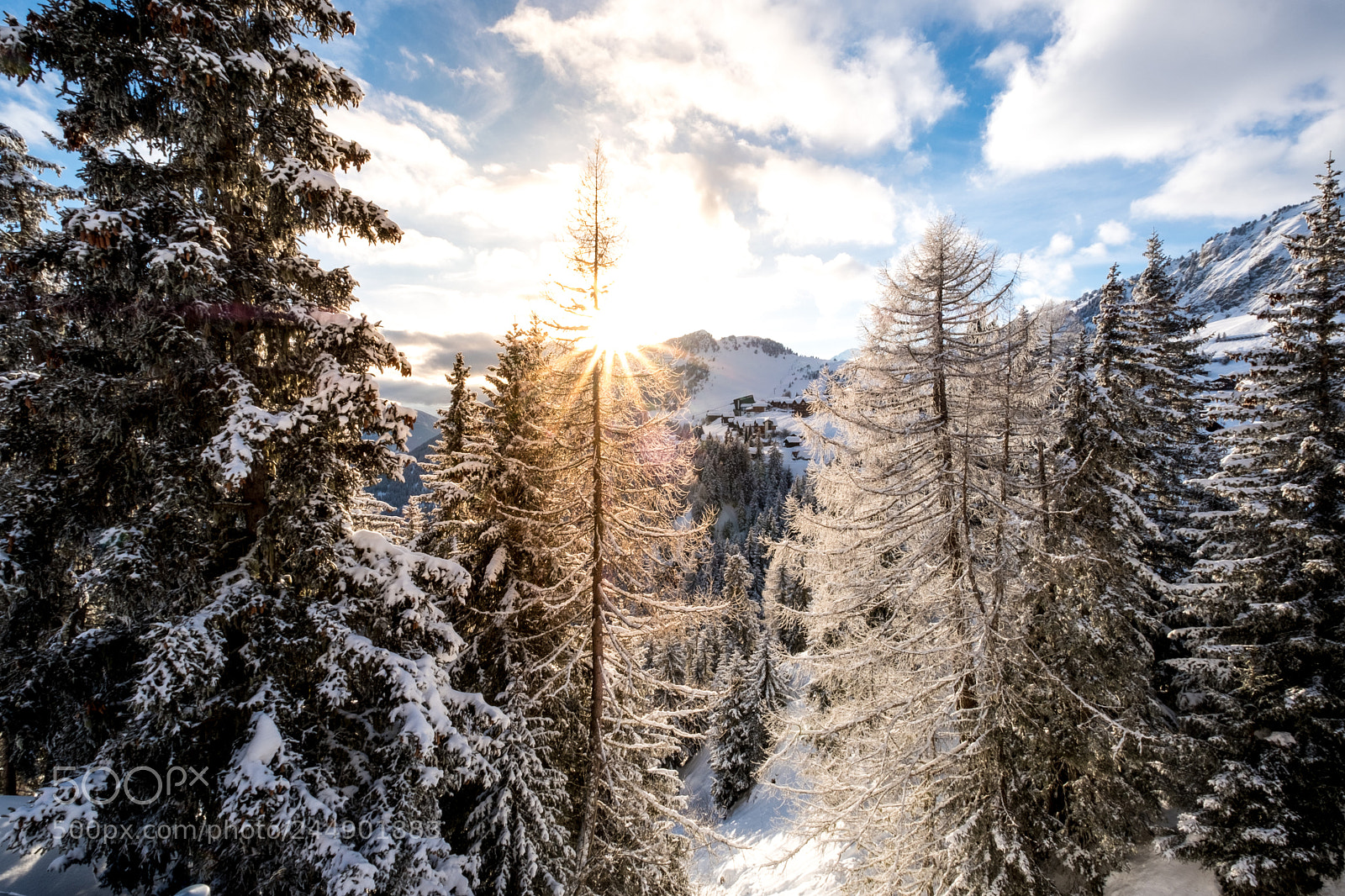 Fujifilm X-T2 sample photo. Winter woodland photography
