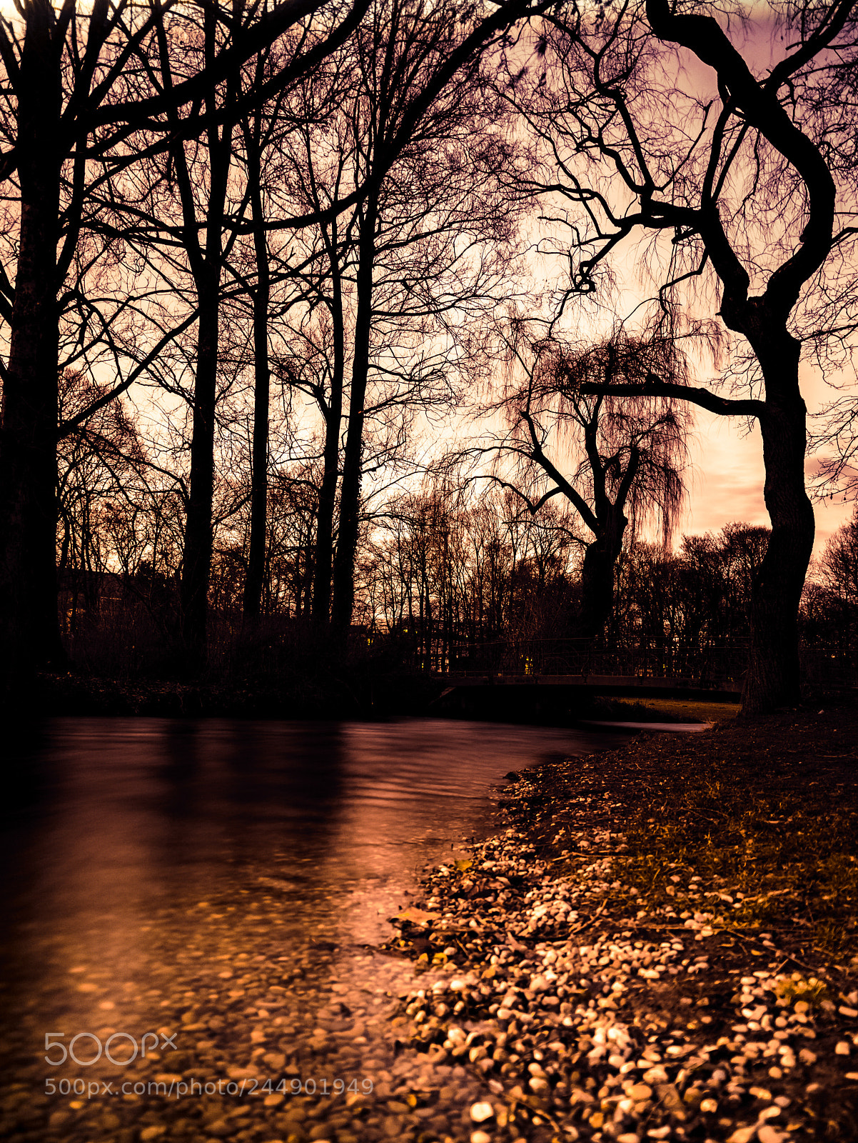 Canon EOS 6D Mark II sample photo. Golden hour photography