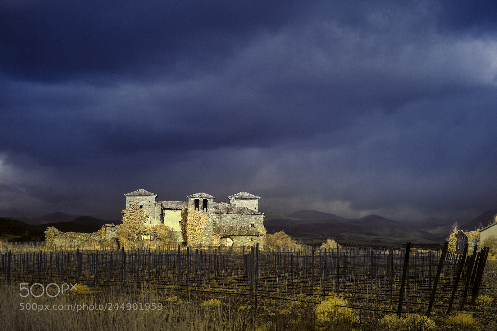Canon EOS 5D sample photo. Otazu winery photography