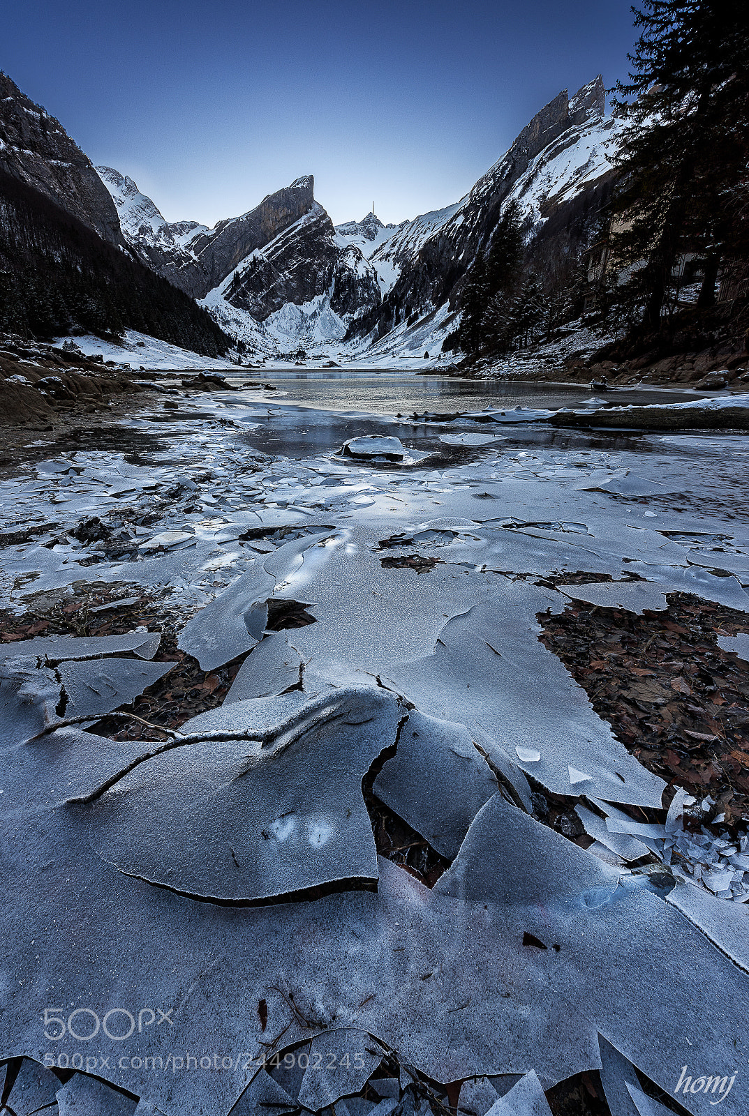 Nikon D810 sample photo. "thin ice" photography