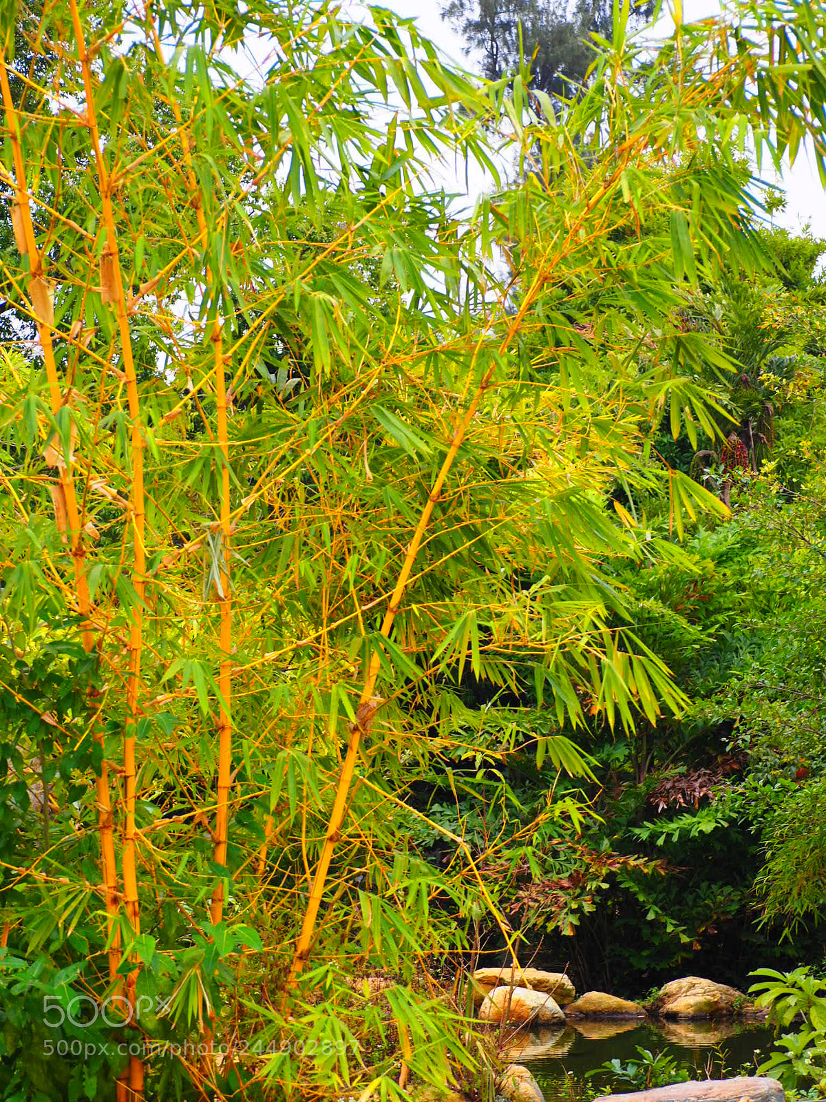 Olympus OM-D E-M10 II sample photo. Untitled photography