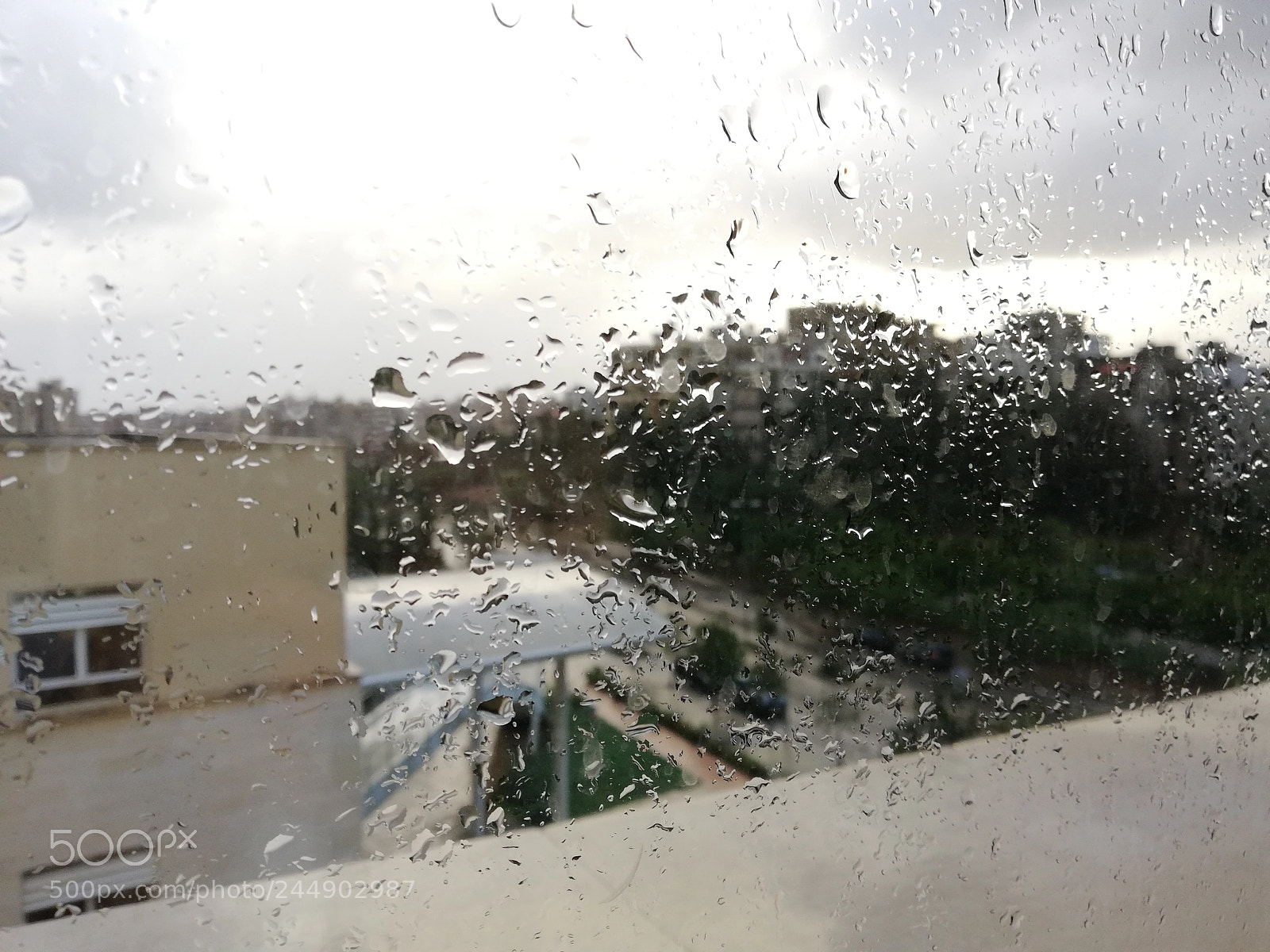 HUAWEI Mate 10 Lite sample photo. Morning ⛈️ photography
