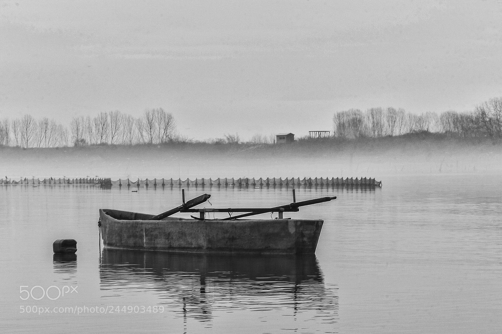 Canon EOS 60D sample photo. Landscape in fog photography