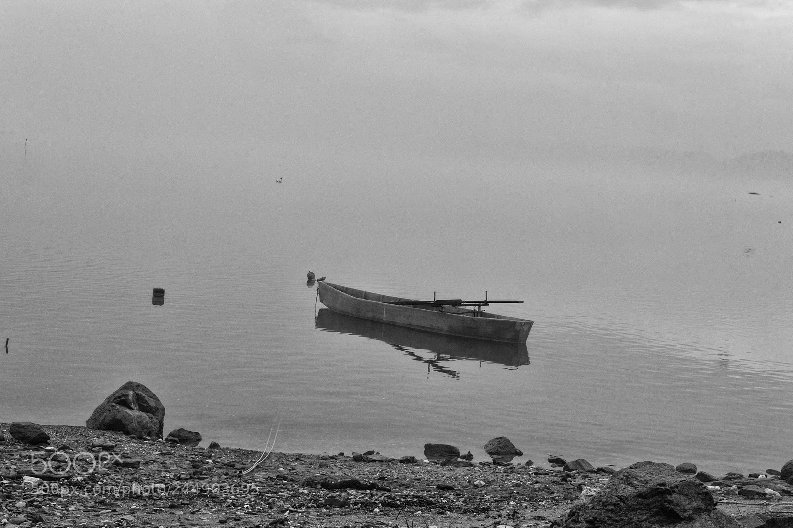 Canon EOS 60D sample photo. The quietness of the photography