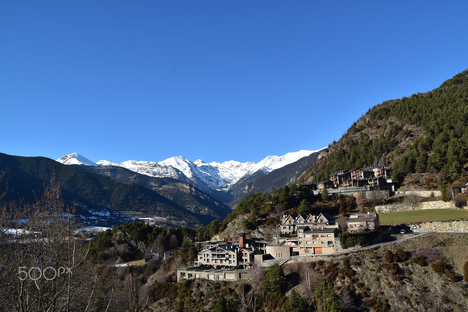 Nikon D5600 sample photo. Dsc photography