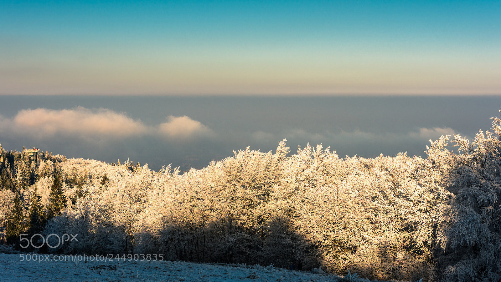 Nikon D810 sample photo. Szyndzielnia peak photography