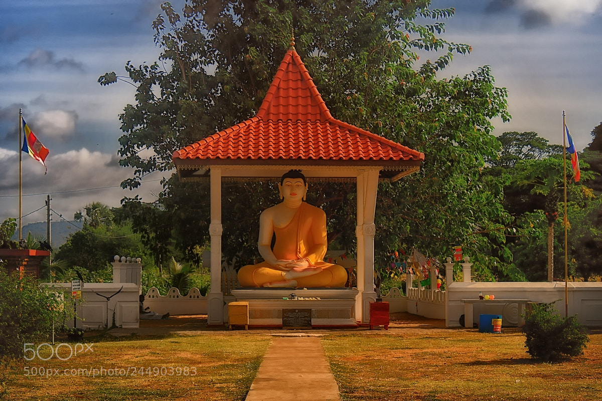 Nikon D500 sample photo. Buddha photography