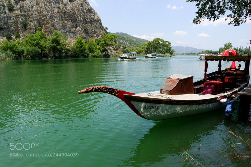 Samsung NX3000 sample photo. ... photography