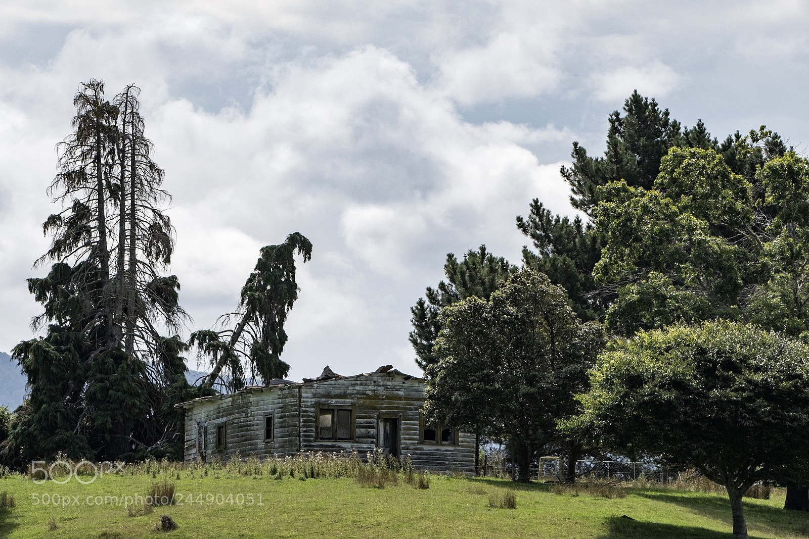 Nikon D500 sample photo. Ramshackle, takaka photography