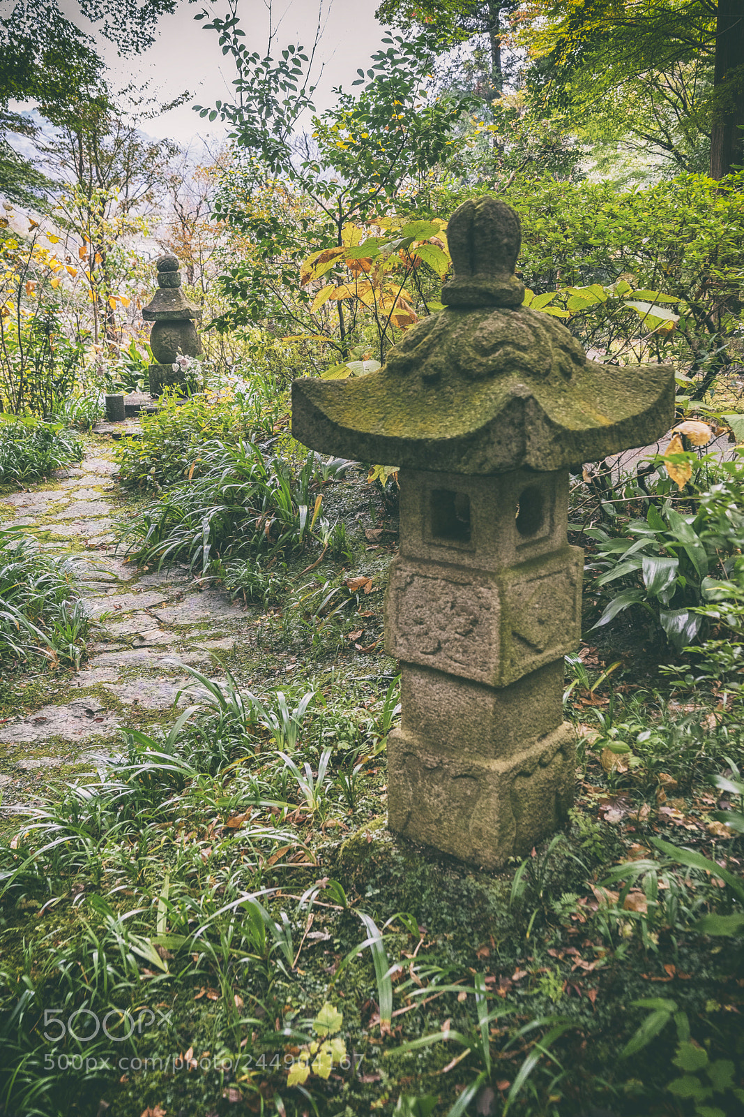 Nikon D610 sample photo. Path among souls photography
