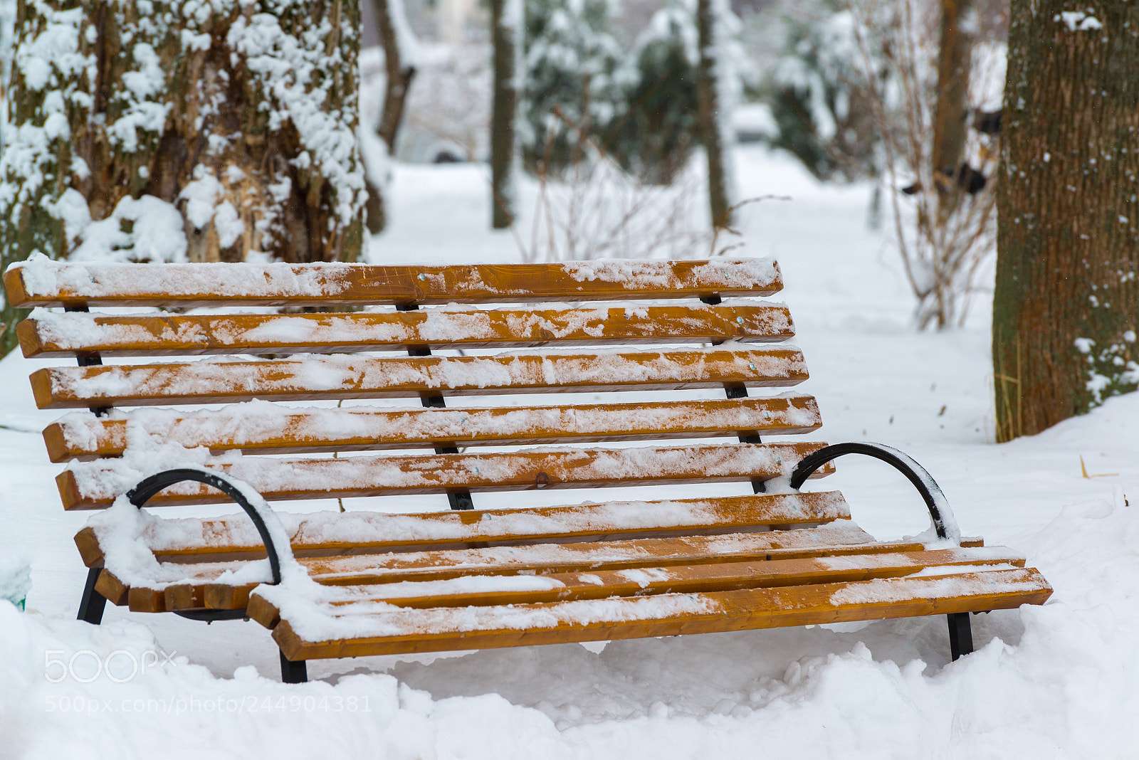Nikon D600 sample photo. Benches in park after photography