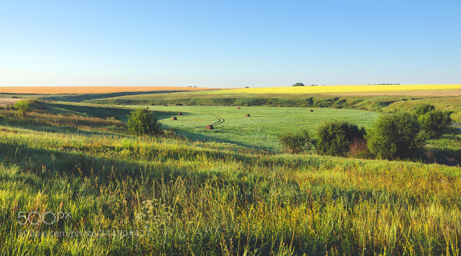 Nikon D5100 sample photo. Summer scenery photography