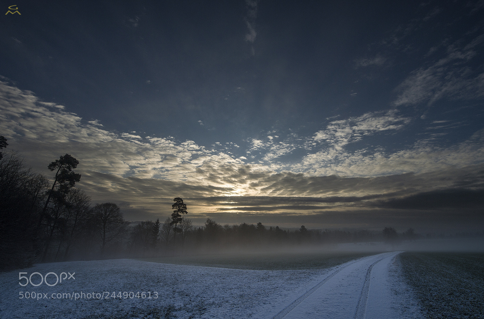 Nikon D4 sample photo. Winter morning road photography