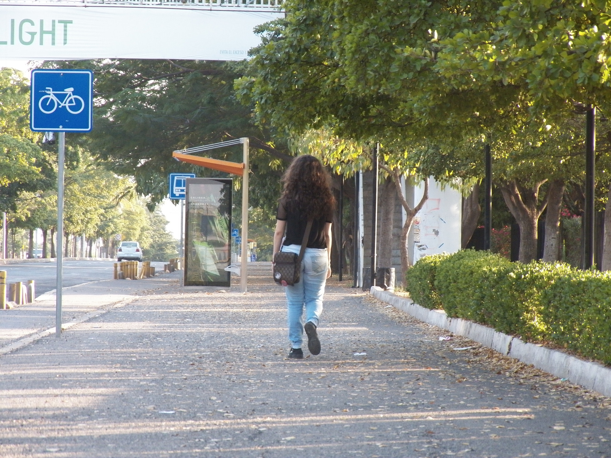 Kodak EasyShare Z990 (EasyShare Max) sample photo. My lady photography