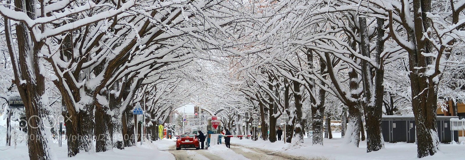 Canon PowerShot G7 X sample photo. Hokkaido x winter photography