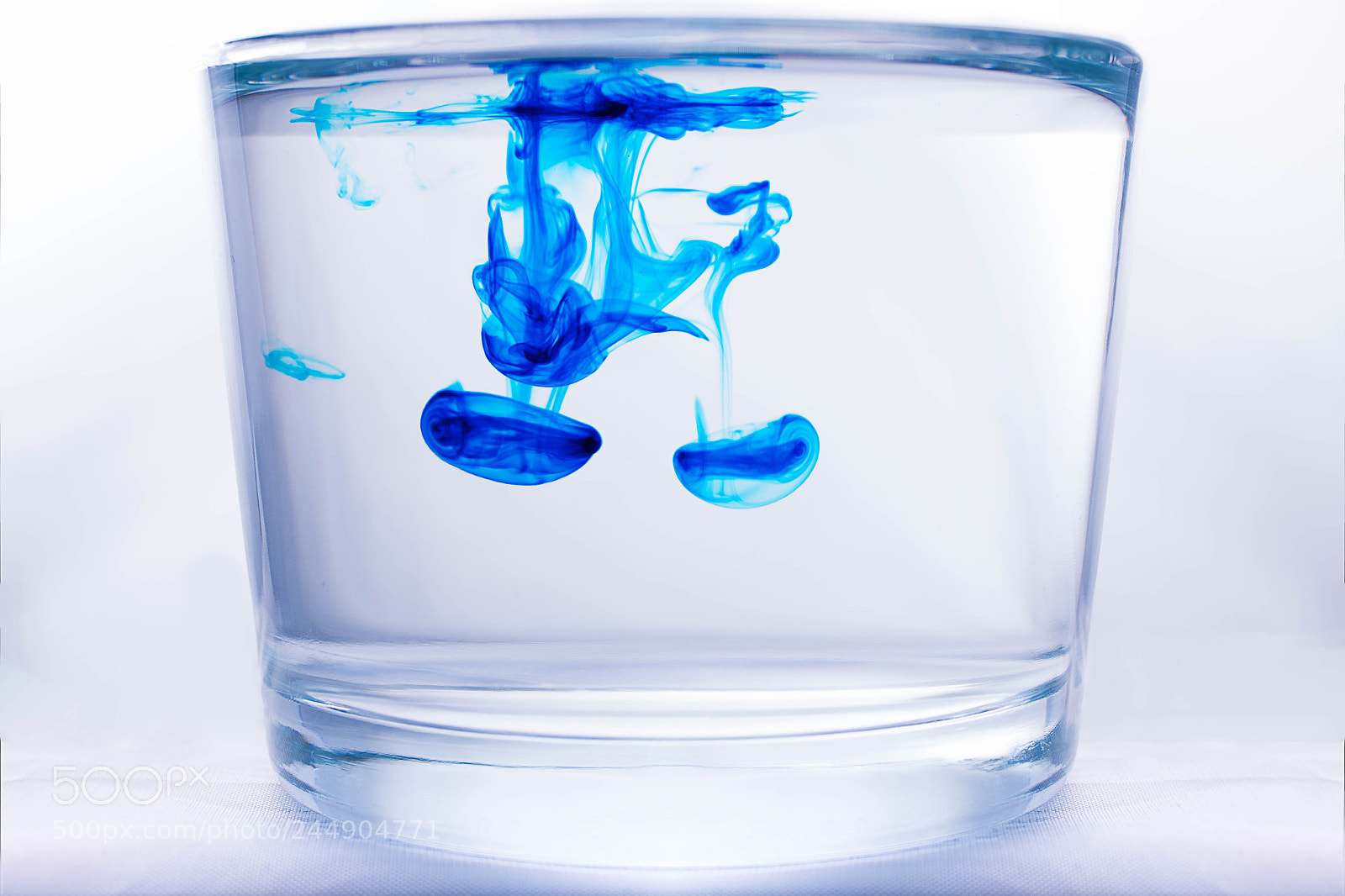 Nikon D7500 sample photo. Blue medusa photography