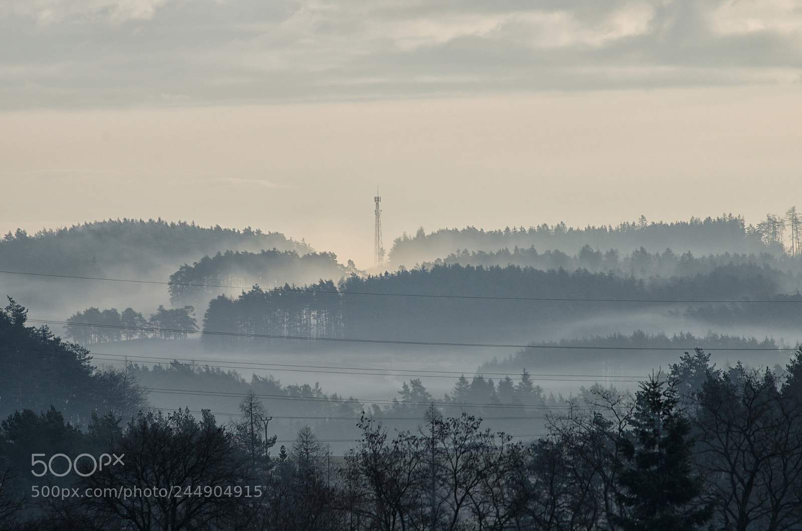 Nikon D5100 sample photo. Foggy morning photography