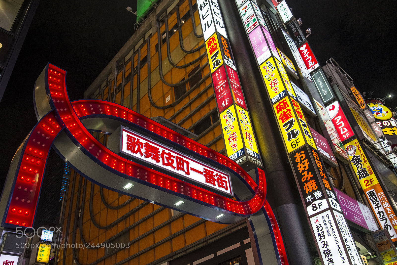 Nikon D610 sample photo. Kabukicho's calling photography