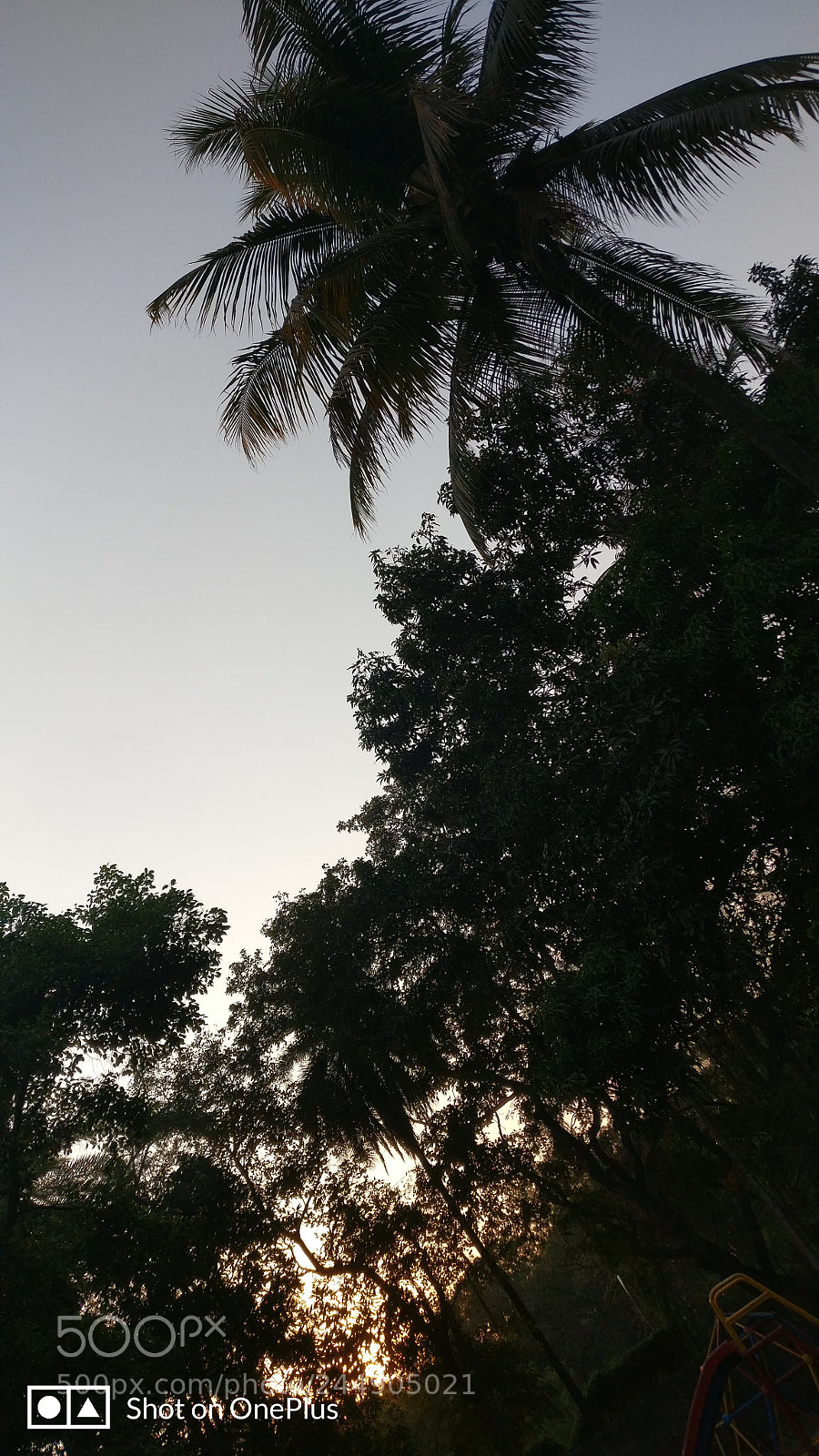OnePlus A3003 sample photo. Nature's creativity photography