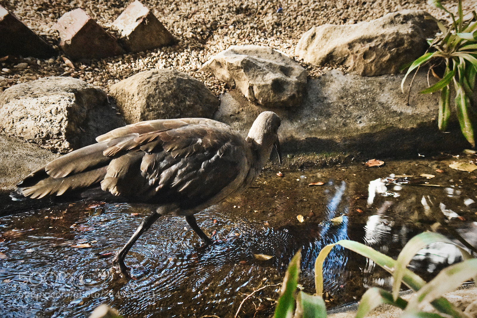 Nikon D3400 sample photo. Running away from me... photography