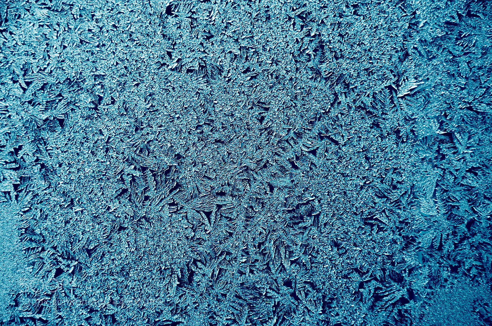 Nikon D5100 sample photo. Icy frosty pattern on photography