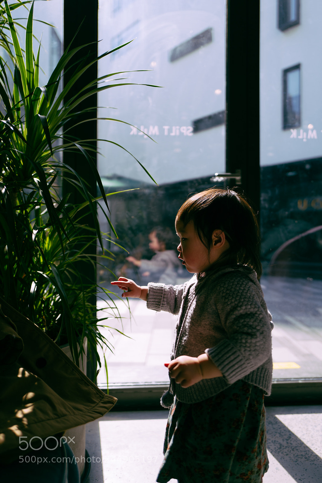 Leica Q (Typ 116) sample photo. Untitled photography