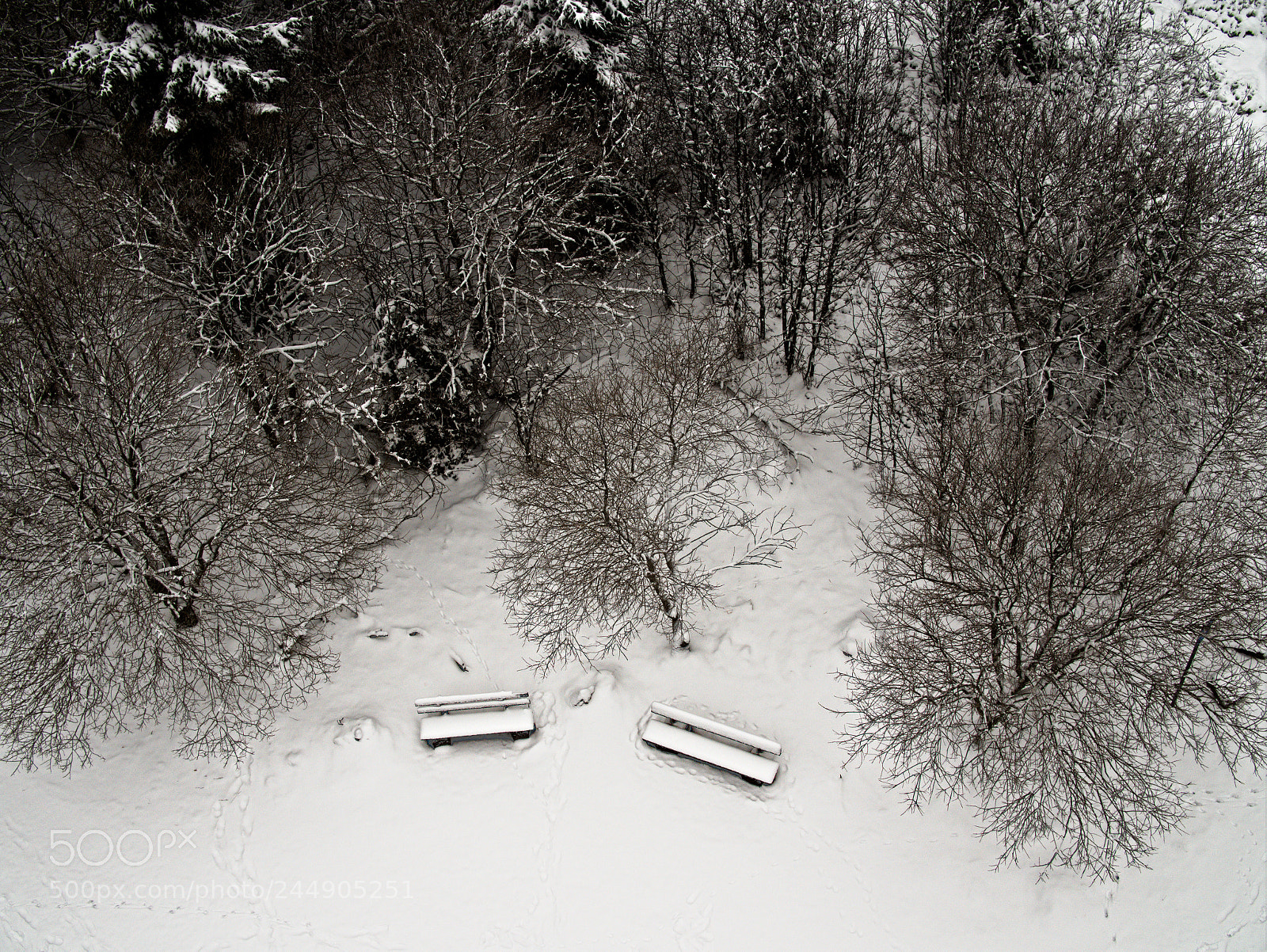 Olympus PEN-F sample photo. Ruhe photography