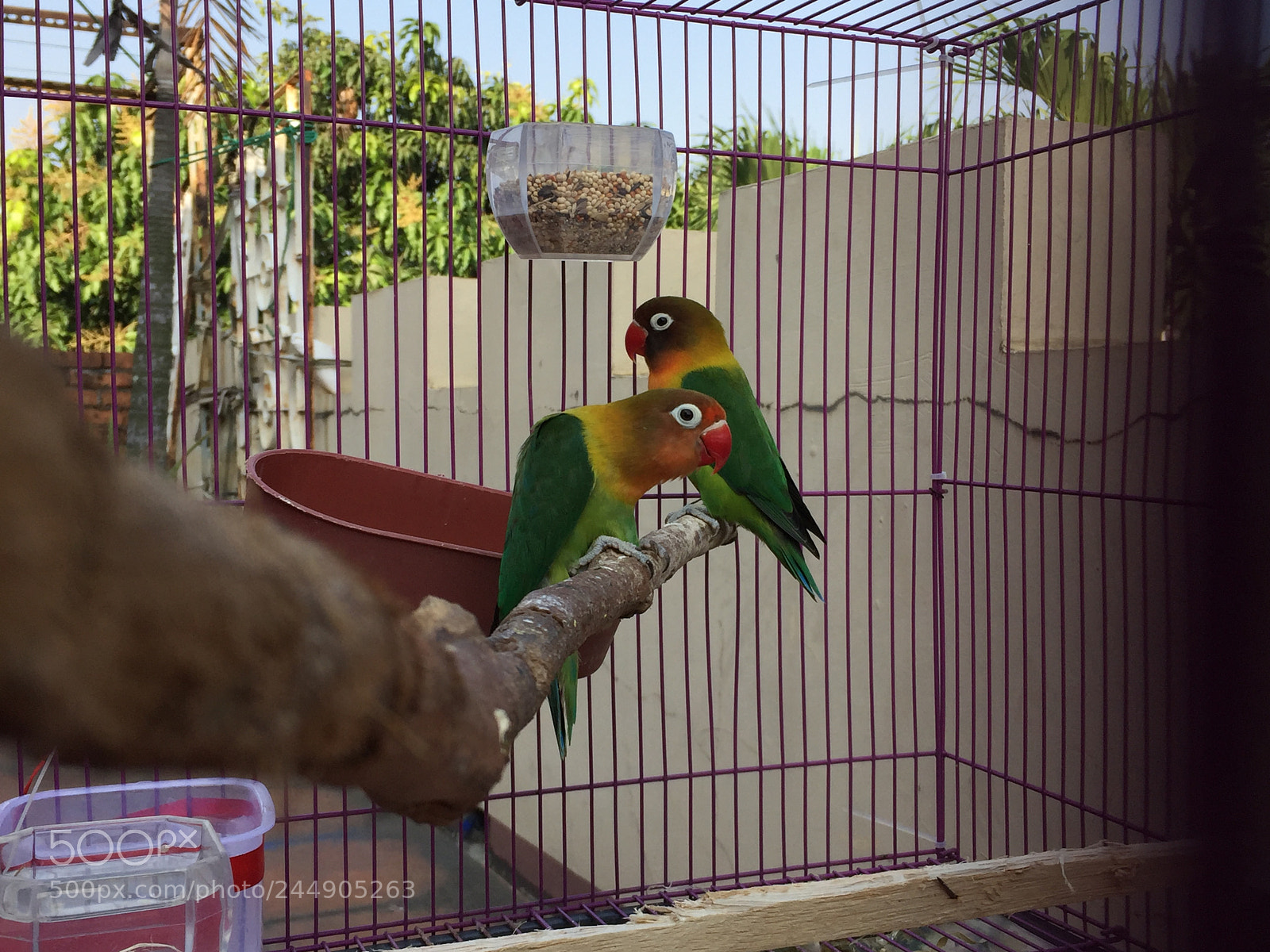 Apple iPhone 6 sample photo. The couple photography
