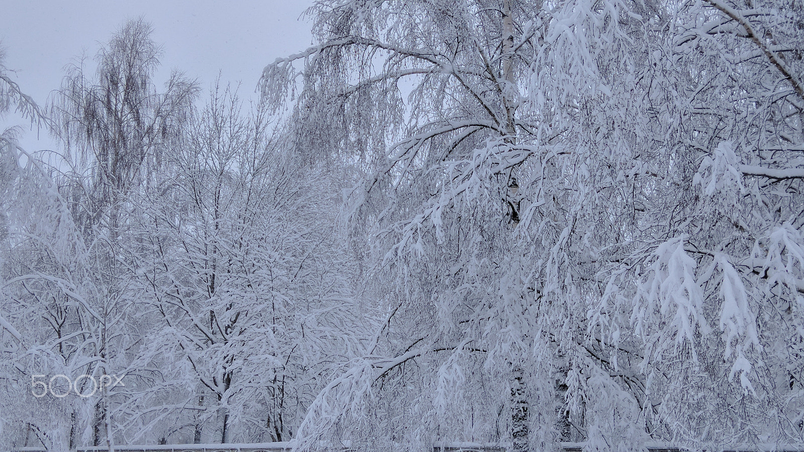 Xiaomi Redmi Note 3 sample photo. Winter in russia photography