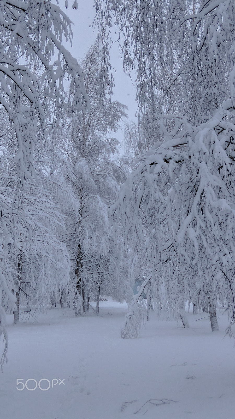Xiaomi Redmi Note 3 sample photo. Winter in russia photography