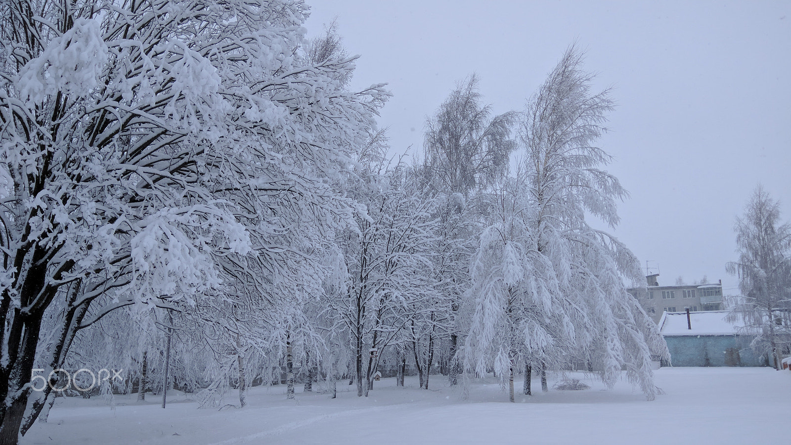 Xiaomi Redmi Note 3 sample photo. Winter in russia photography