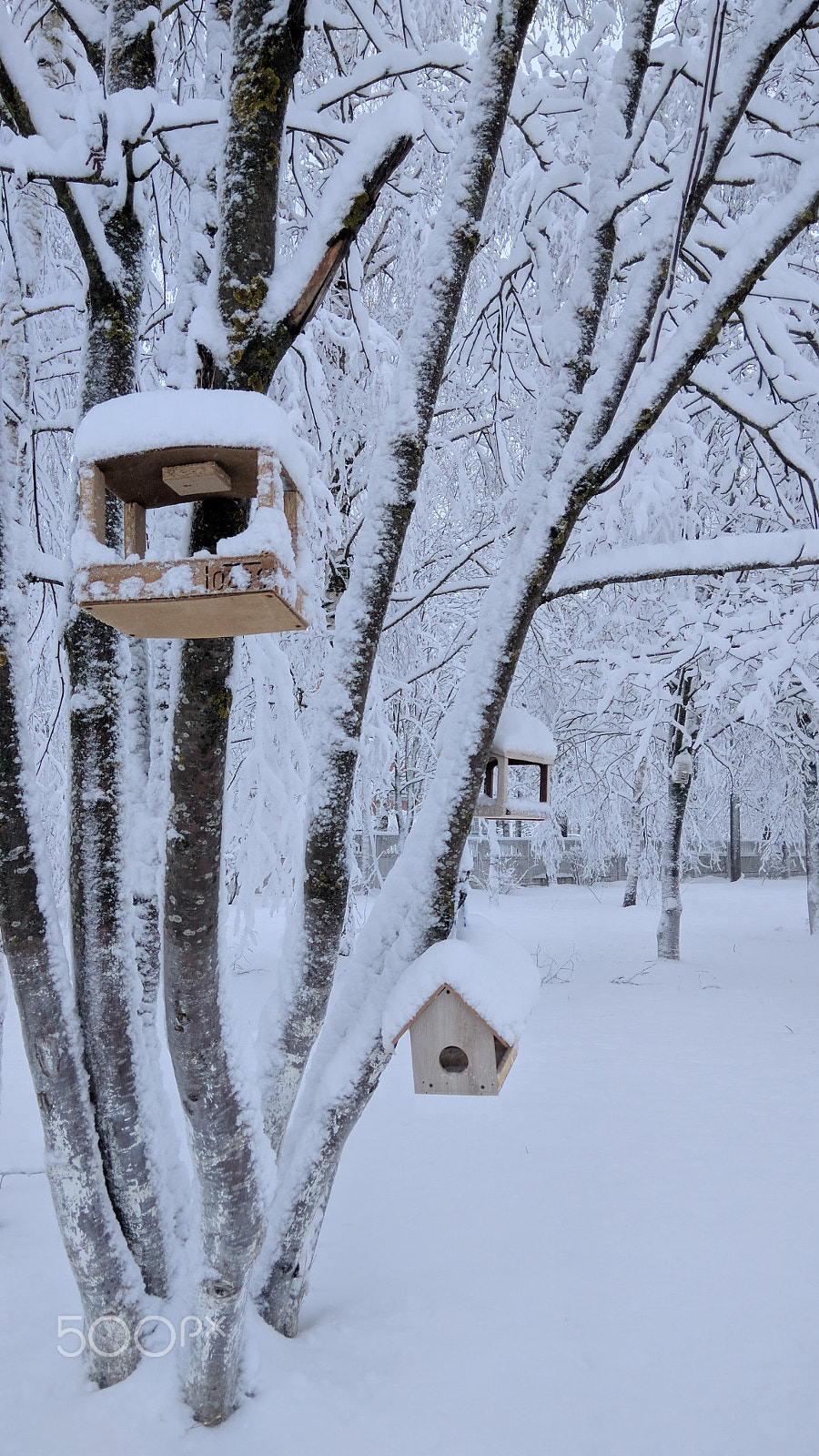 Xiaomi Redmi Note 3 sample photo. Winter in russia photography