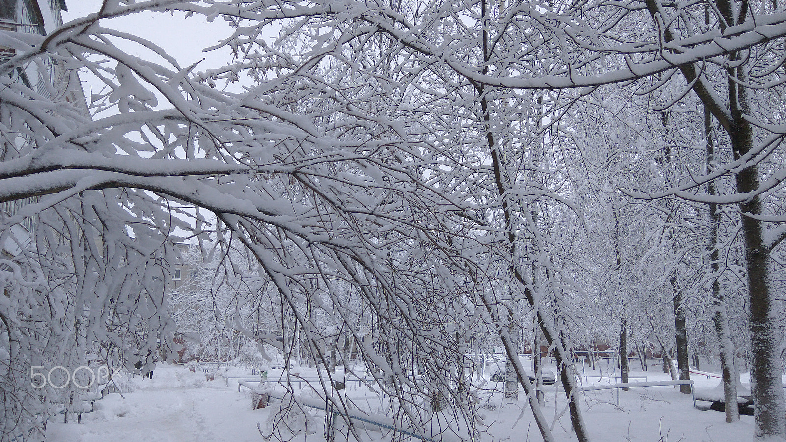 Xiaomi Redmi Note 3 sample photo. Winter in russia photography