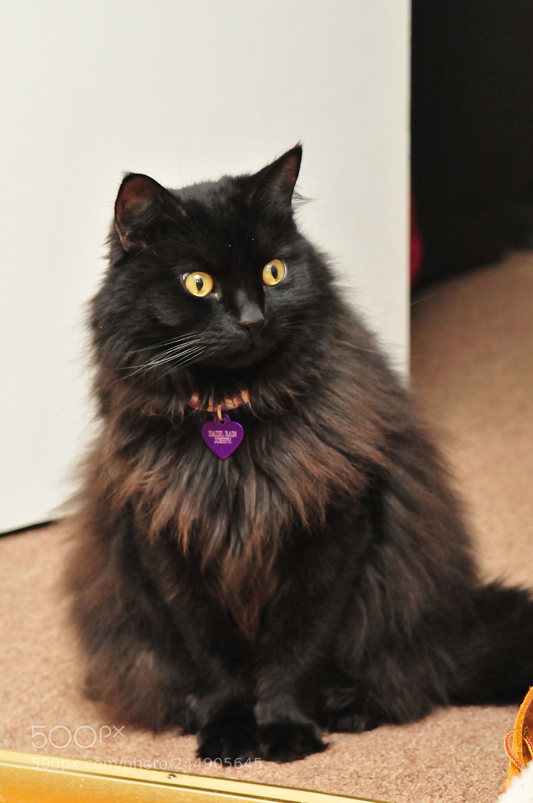 Nikon D300 sample photo. 3 year old main photography