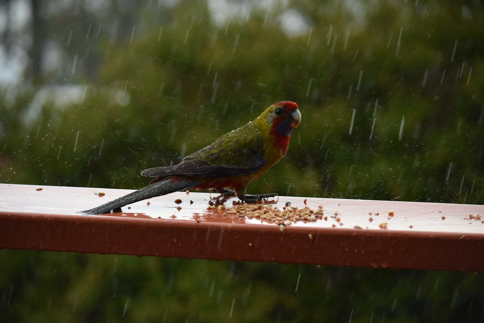 Nikon D3400 sample photo