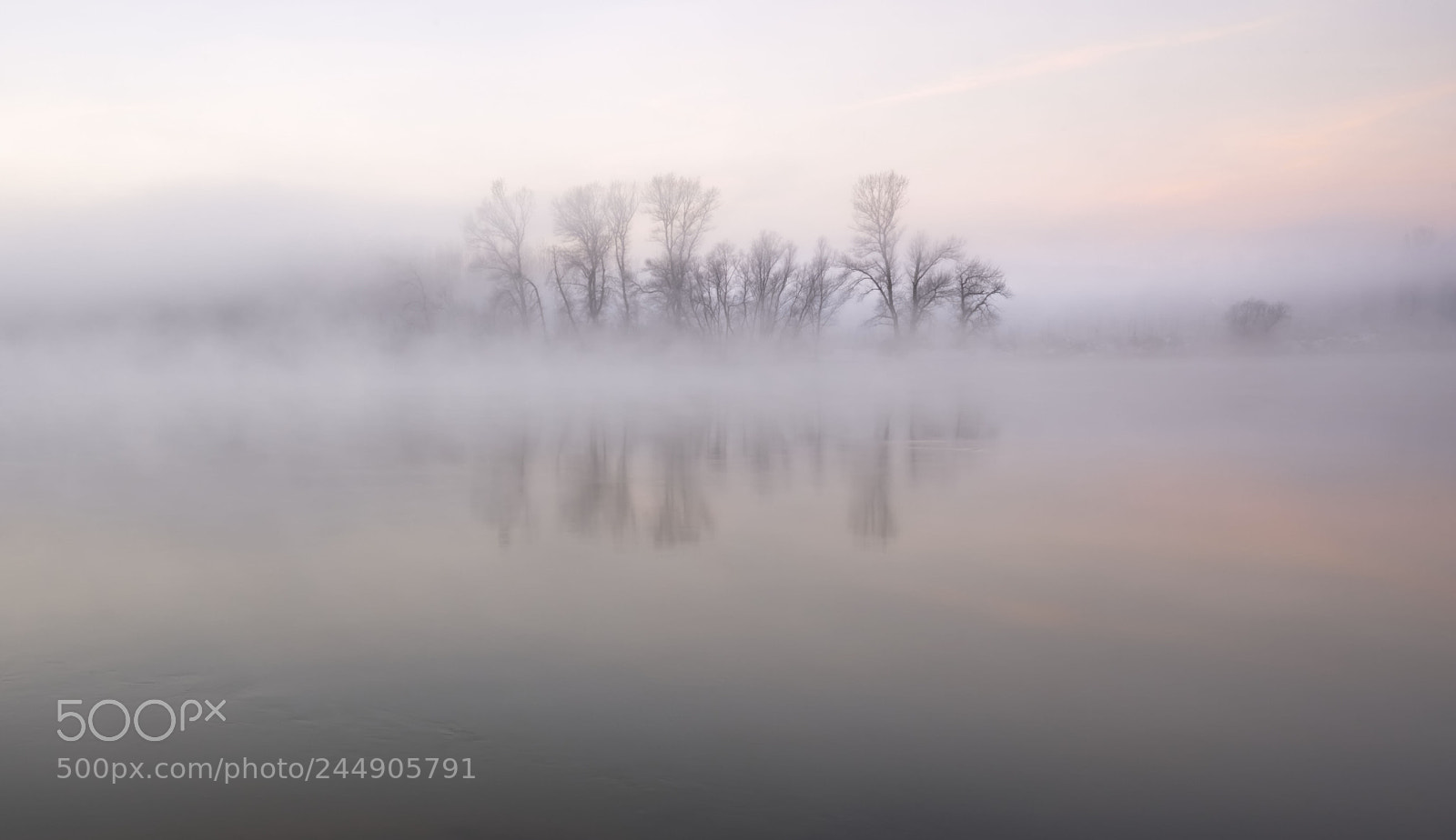 Sony a7R III sample photo. _dsc1464_1.jpg photography