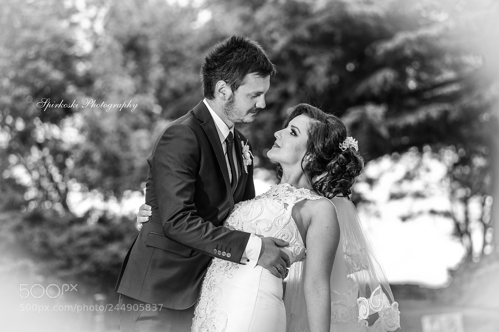 Nikon D610 sample photo. 25.jpg photography