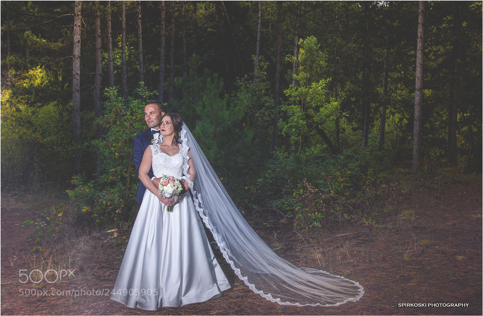 Nikon D7200 sample photo. 45.jpg photography