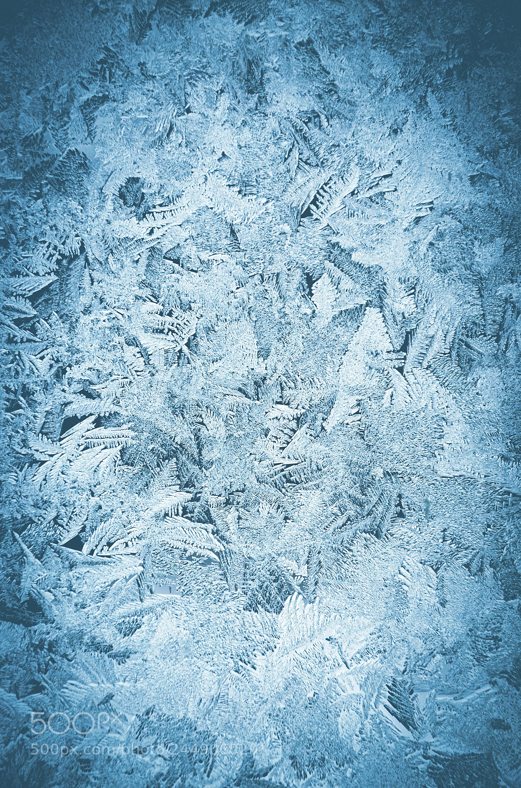 Nikon D5100 sample photo. Icy frosty pattern photography