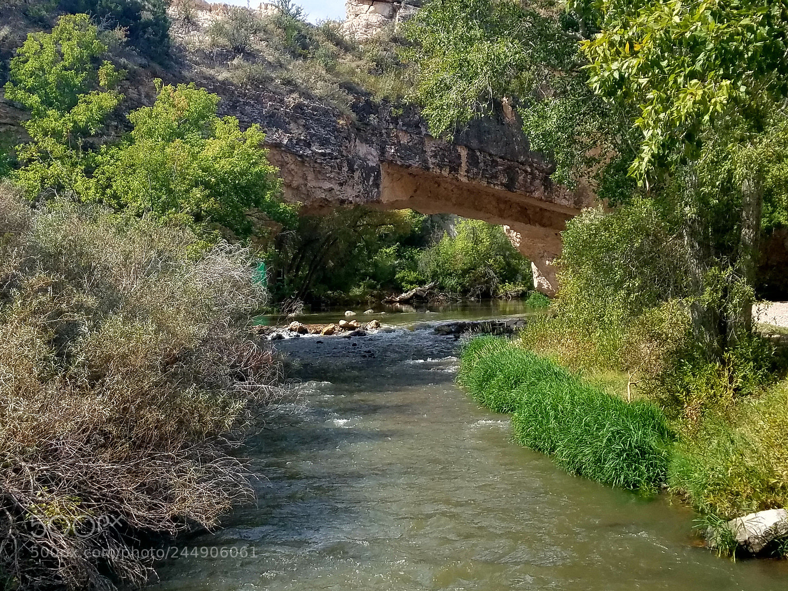Samsung Galaxy S7 sample photo. Untitled photography