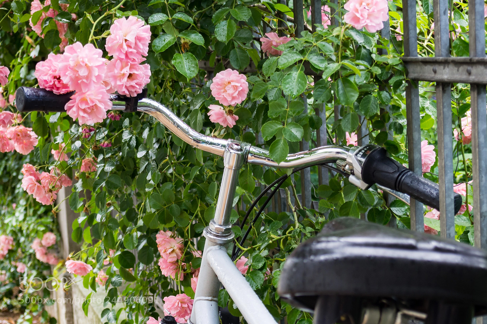 Olympus PEN E-PL5 sample photo. Bike nicely decorated photography