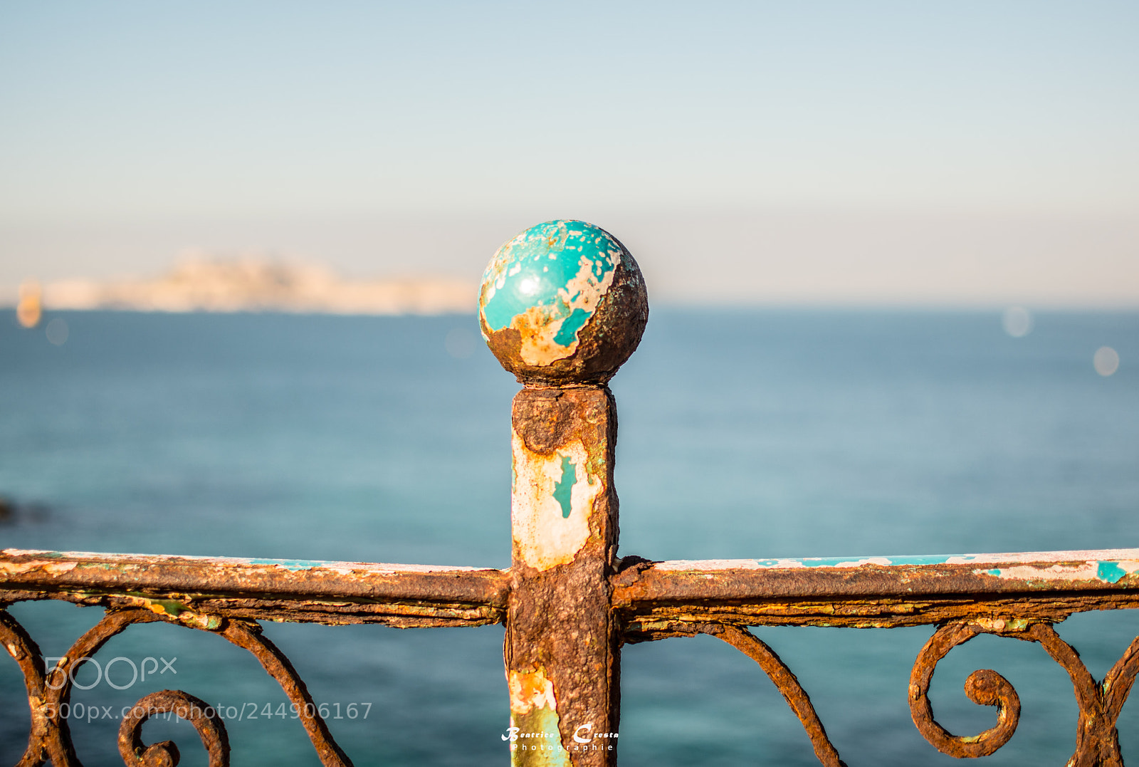 Nikon D5500 sample photo. Balle au centre photography