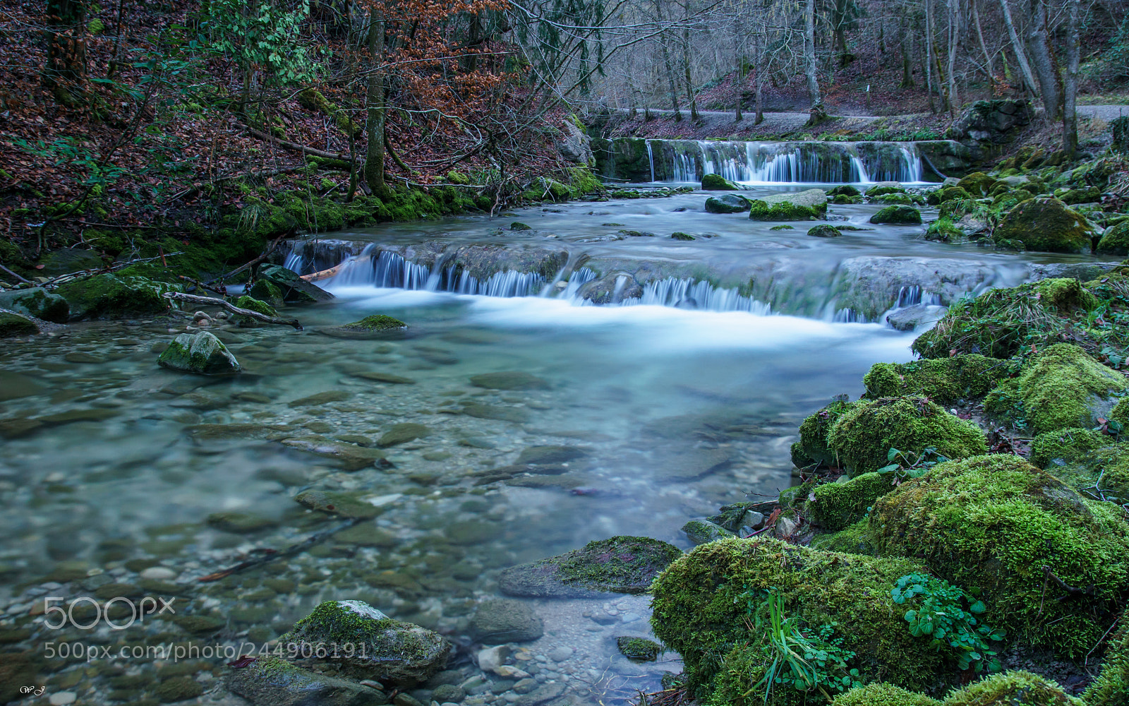 Sony ILCA-77M2 sample photo. Moody nature photography