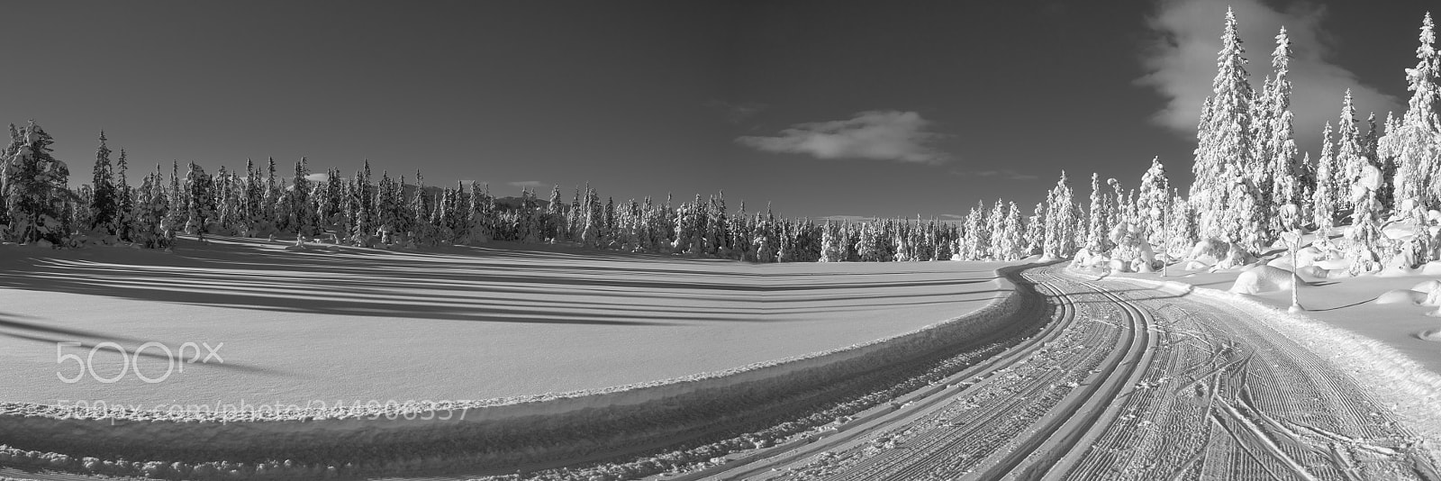 Nikon D610 sample photo. Winter wonderland photography